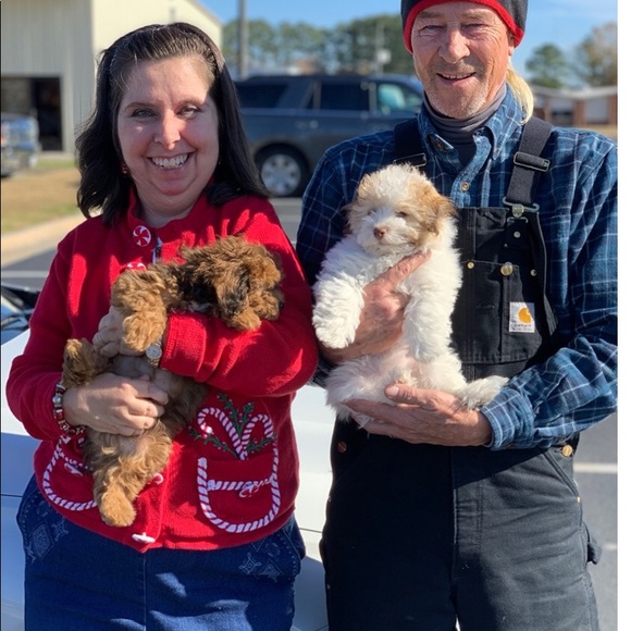 Meet your Posher, Katherine - Picture 1 of 1